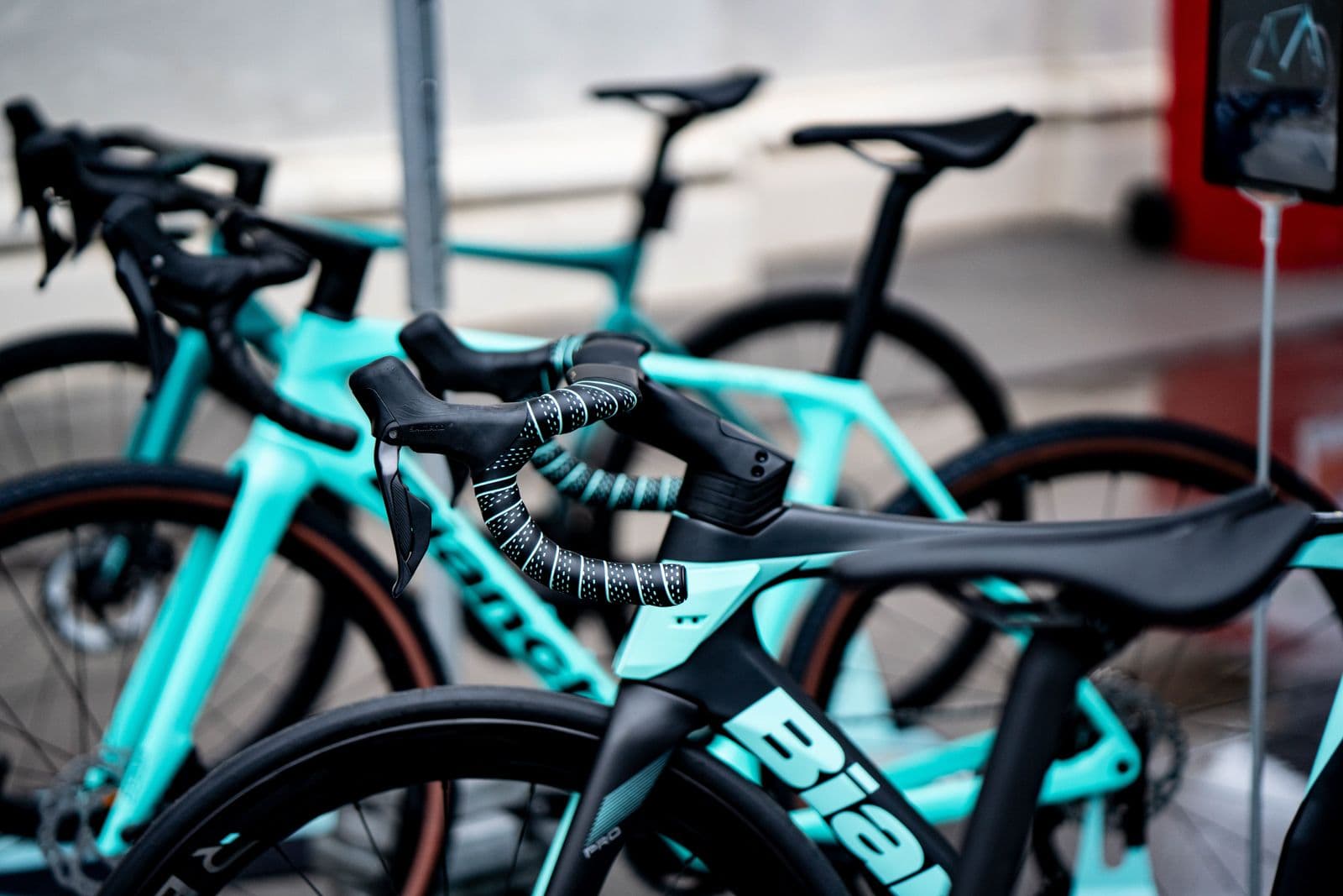 Racing bicycles lined up outdoors at the festival