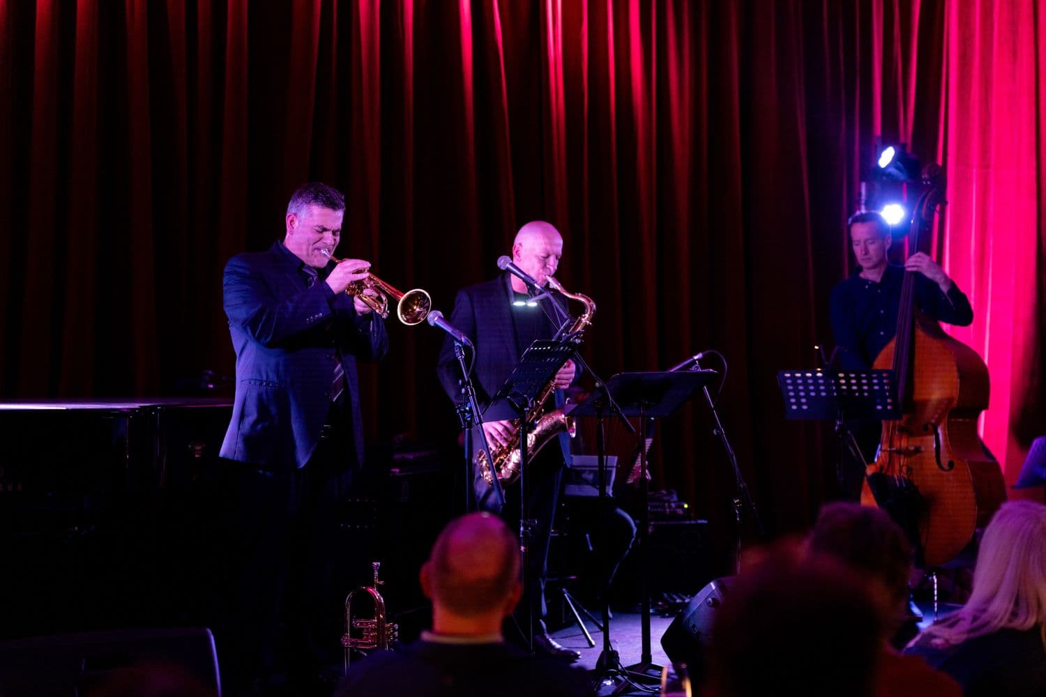Saxophonist performing under stage lighting
